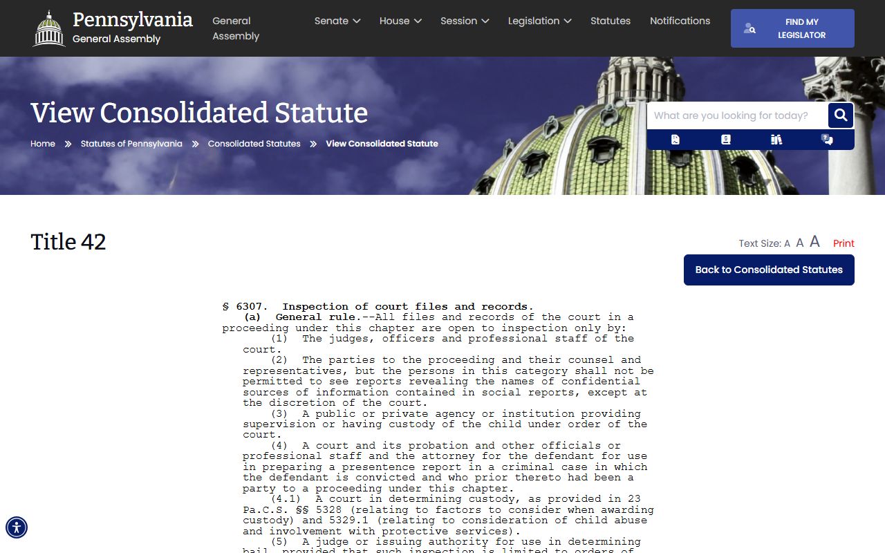 Dauphin County probate records juvenile court file access statute